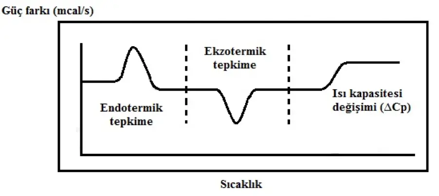  DSC termogramında gözlemlenen üç olay